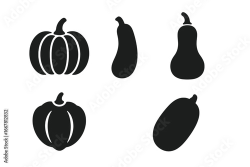 Squash gourd icon set. Solid filled glyph icons of pumpkin, zucchini, butternut, acorn, spaghetti squash. Vector silhouette for autumn harvest, fall vegetable, healthy food.