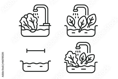 Washing Greens Icons Set, Outline Leafy Greens in Sink, Lettuce and Spinach Leaves Being Rinsed, Water Fill Level, Salad Preparation, Vector Illustration Transparent