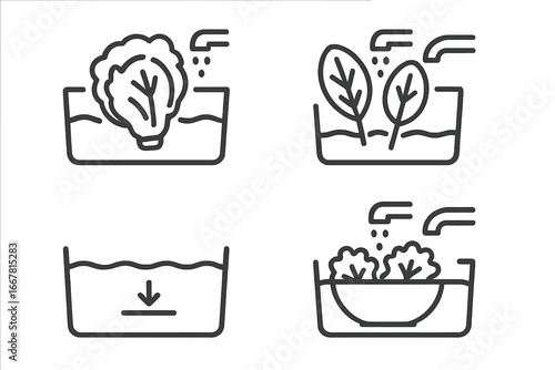 Washing Greens Icons. Outline Vector Set of 4 Leafy Greens Washing Icons Showing Lettuce Head, Spinach Leaves, Water Fill Level, and Salad Bowl in Sink, Clean Healthy Food Concept