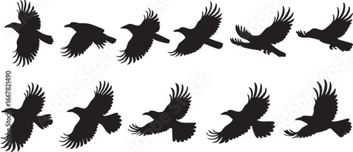 Flying raven silhouette vector: animation sequence of bird flight eps