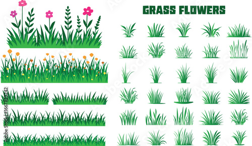 Different types of green grass isolated on white background.