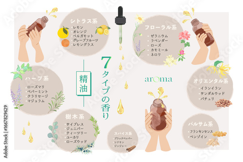 香りの分類・7タイプの香り_03