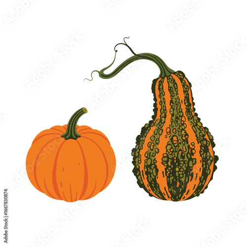 Decorative Gourds and a Round Orange Pumpkin for Autumn Harvest Celebration