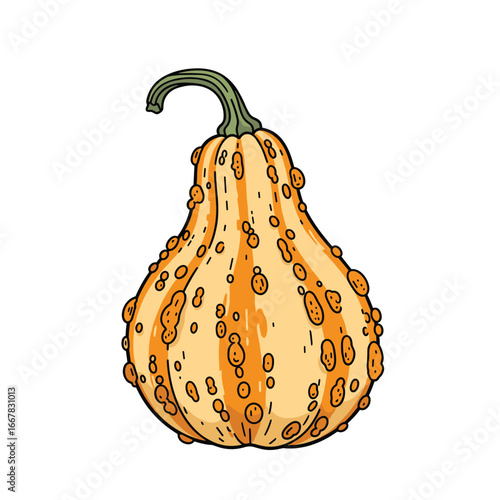 Textured Gourd Autumn Harvest Fall Season Ornamental Plant Food Agriculture