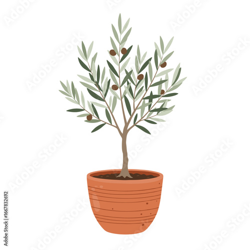 An Illustrated Potted Olive Tree with Deep Green Foliage and Small Dark Olives