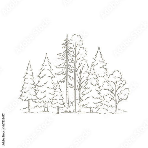 A beautiful vector illustration of a winter forest landscape with snow-covered fir trees for a holiday celebration