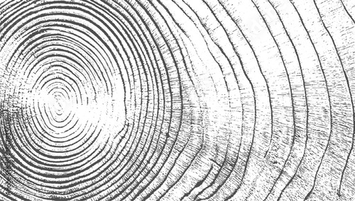 Close up view of a wood grain texture with concentric rings and rough lines