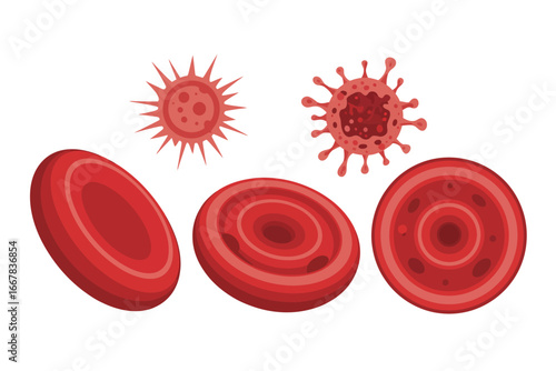 Human Red Blood Cells and Viruses Illustration Showing the Structure of Blood and the Threat of Viral Infections