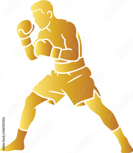 Golden Shadow of Boxer Training in Fighting Position