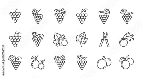 Collection of line art icons representing fruits and gardening tools, including grapes, apples, tomatoes, and pruning shears, isolated on a