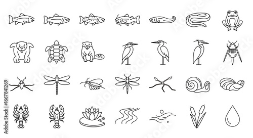 Collection of handdrawn black and white line art icons representing various aquatic and wetland animals, plants, and elements, isolated on a clean for easy use in design projects