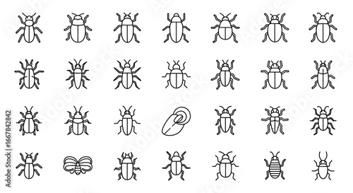 A diverse collection of minimalist line art icons featuring various common insects and beetles, ideal for educational resources, nature-themed user interfaces, or detailed entomology illustrations