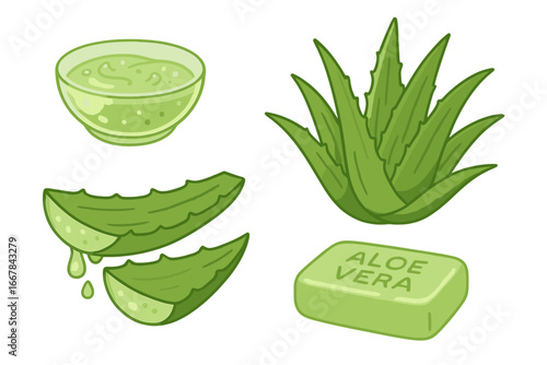 Natural Aloe Vera Gel and Soap with Fresh Aloe Plant Illustration, Green Soothing Skincare Elements, Healing Aloe Leaf Juice Drops, Vector Cartoon Set on Transparent Background