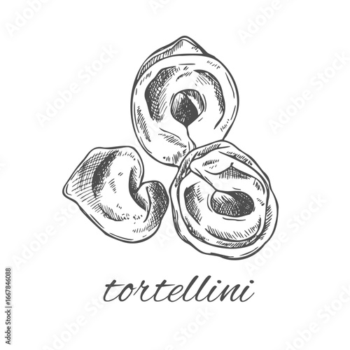 Pasta line concept. Tortellini shape of macaroni. Traditional italian cuisine and kitchen. Minimalistic creativity and art. Linear flat vector illustration isolated on white background