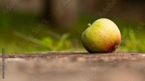 close-up shot of an apple on the ground