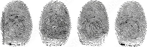 Four fingerprints isolated on transparent background, representing identity, security, and uniqueness