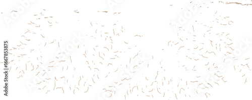 Delicate white branches with fine detail isolated on transparent background, representing nature and fragility