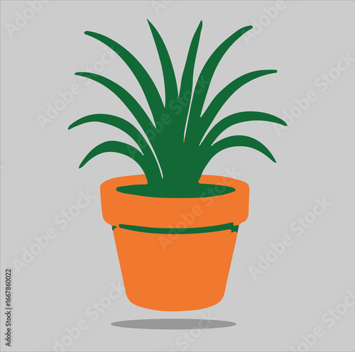 cactus in a pot