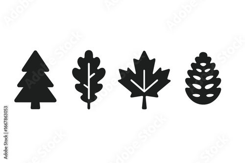 Solid filled vector icons of tree species identification set including pine tree, oak leaf, maple leaf, birch bark, and fir cone in simple cartoon style for nature and botany