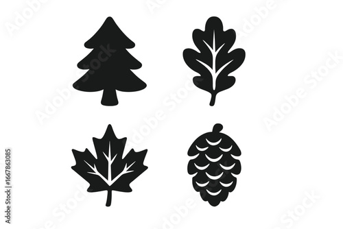 Tree Species Icons Set, Solid Filled Vector Illustration Including Pine Tree, Oak Leaf, Maple Leaf, Birch Bark, Fir Cone, Nature Symbols for Forest Identification and Botany Design