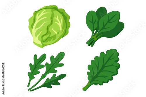 Salad greens vector icon set. Fresh lettuce head, spinach bunch, arugula, and kale leaves illustration. Healthy food, organic vegetable, and vegetarian diet concept symbols.