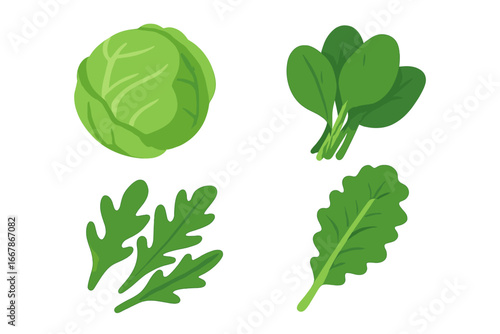 Fresh salad greens vector icon set. Isometric flat illustration of leafy vegetables like lettuce, spinach, arugula, kale. Healthy organic food concept for diet, vegan, vegetarian.