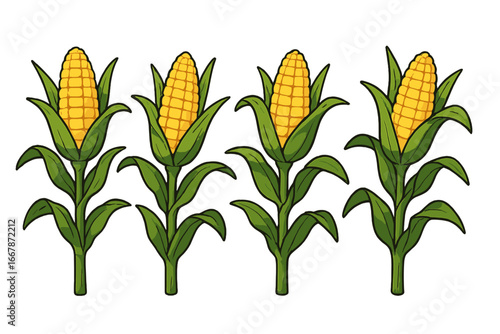 Corn on the cob vector cartoon illustration. Set of ripe maize plants with green leaves. Agricultural, farming, and harvest concept. Healthy organic vegetable sweet corn food.