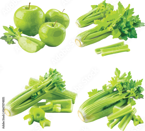 Green Apples and Celery Stalks Fresh Produce Illustration