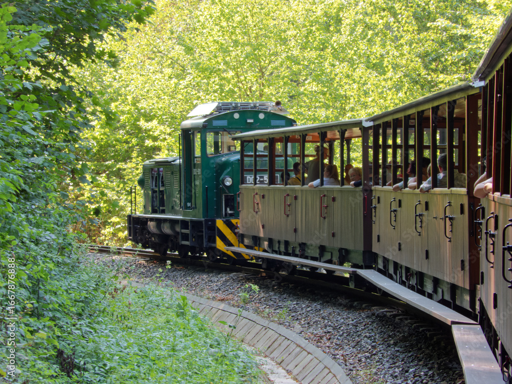 Naklejka premium Forest Narrow Gauge Train in Lillafüred, Hungary