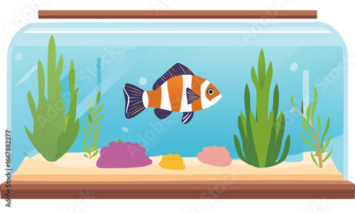 aquarium with fish