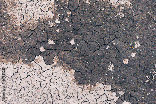 Cracked earth texture. Dry land. Crack texture closeup. Black and grey earth