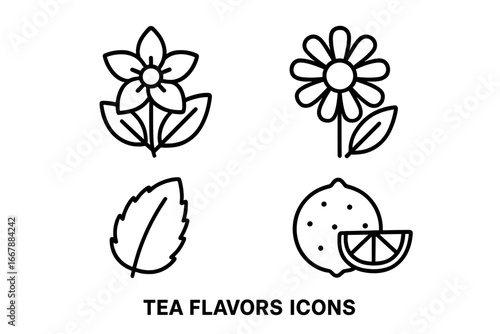 Tea flavors icon set. Outline icons of tea infusions jasmine blossom, chamomile flower, mint leaf, bergamot citrus. Herbal drink ingredients vector symbols for packaging design.