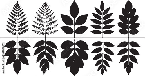 A collection of five different black silhouettes of leaf and fern frond designs with their reflections