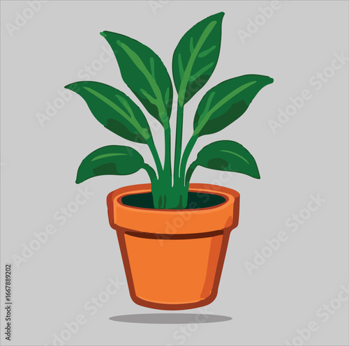 green plant in a pot