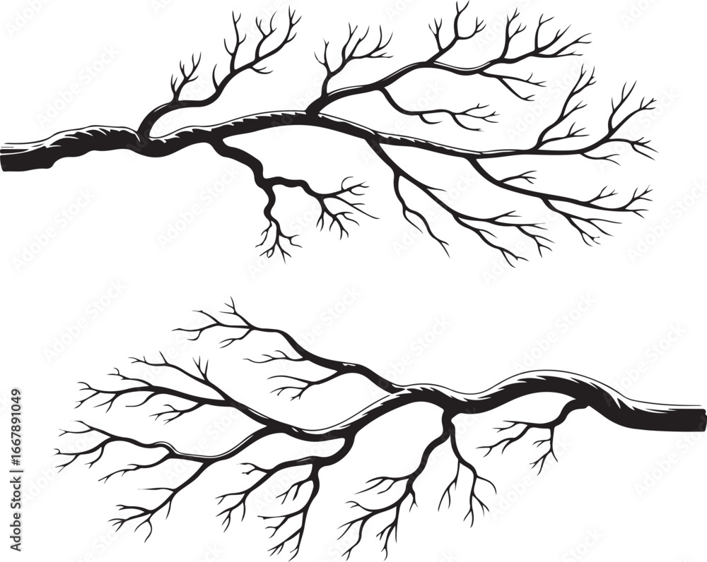 Fototapeta premium A pair of hand-drawn, snow-dusted, bare winter tree branches, perfect for seasonal and holiday-themed designs.