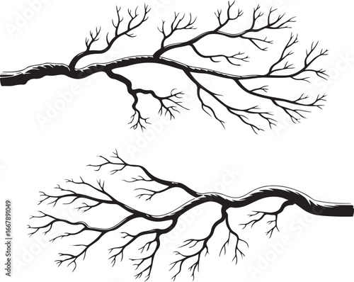 A pair of hand-drawn, snow-dusted, bare winter tree branches, perfect for seasonal and holiday-themed designs.
