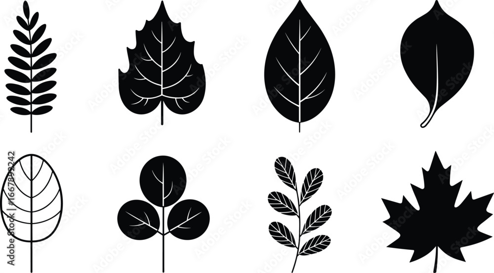 Fototapeta premium Black silhouette leaf collection illustration, botanical foliage vector art, plant shape design, nature graphic elements, decorative leaf artwork, tropical and garden leaves