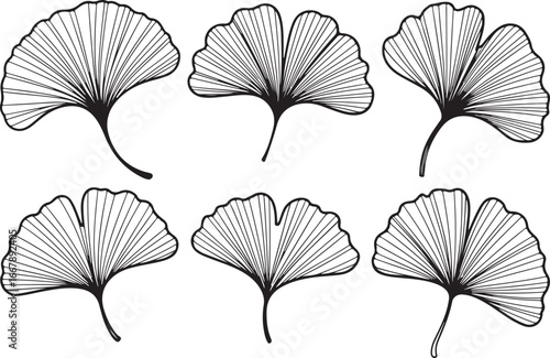 A collection of six detailed, black-and-white Ginkgo Biloba leaves with hand-drawn line textures on a white background.