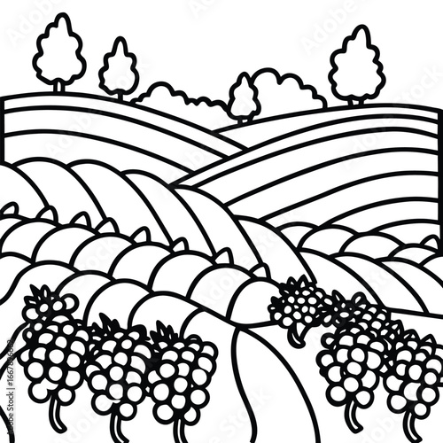 Expansive hillside vineyard featuring rows of grapes valley coloring page vector art design