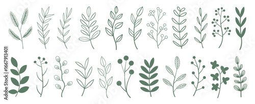 Delicate green botanical sprigs and branches illustration