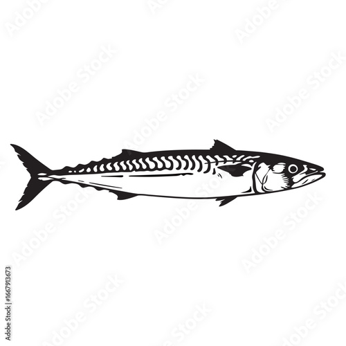 Black and white silhouette vector of Long-jawed mackerel with white background