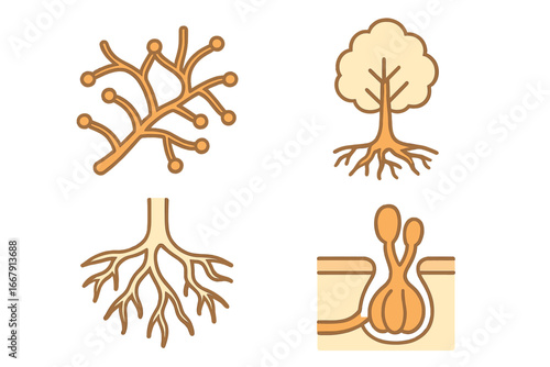 Mycorrhizal network symbiotic relationship icon set. Fungi and plant roots interaction. Arbuscular mycorrhiza, hyphae, tree root system. Biology vector illustration flat icon.