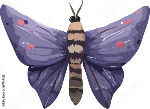 butterfly vector art