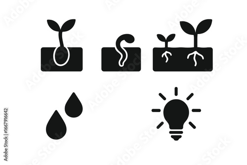 Seed germination icon set. Solid glyph icons showing plant growth stages. Sprout, seedling in soil with roots, water drop and lightbulb for energy. Agriculture vector.