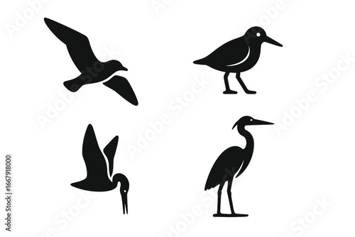 Shoreline bird icon set. Vector silhouettes of seagull in flight, sandpiper, pelican diving, and heron. Coastal wildlife symbols. Minimal flat design for logo or pictogram.