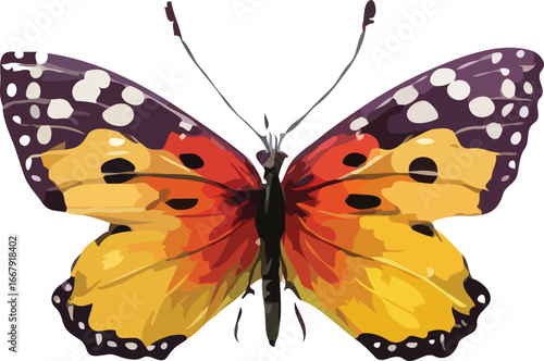 butterfly vector art