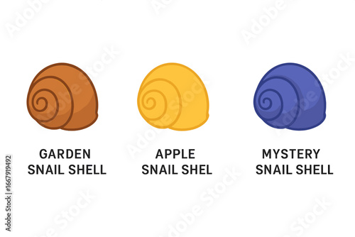 Snail shell icon set. Colorful collection of different snail species. Isometric flat vector illustration of garden snail, apple snail, and mystery snail shells. For biology.