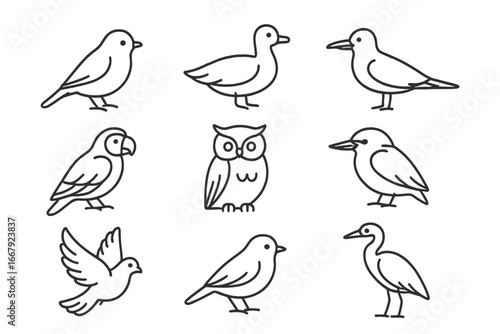 Birds outline icon set. Avian symbols & wildlife representation in simple line art style. Vector cartoon illustration of owl, parrot, dove, duck, heron. Animal pictogram.
