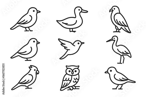 Birds outline icon set. Avian symbols collection. Simple line art of wildlife birds like duck, owl, falcon, stork. Minimalist vector logo elements. Cartoon animal pictograms.