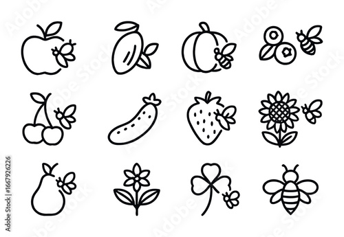 Crop Pollination Icons. Outline icon set of pollination and crops: apple, almond, pumpkin, blueberry, cherry,